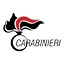 Logo Arma dei Carabinieri